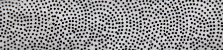 WHITE WITH BLACK DOTS COTTON WHITE WITH BLACK DOTS COTTON